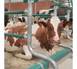 Оборудование для КРС