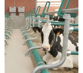 Стойловое оборудование